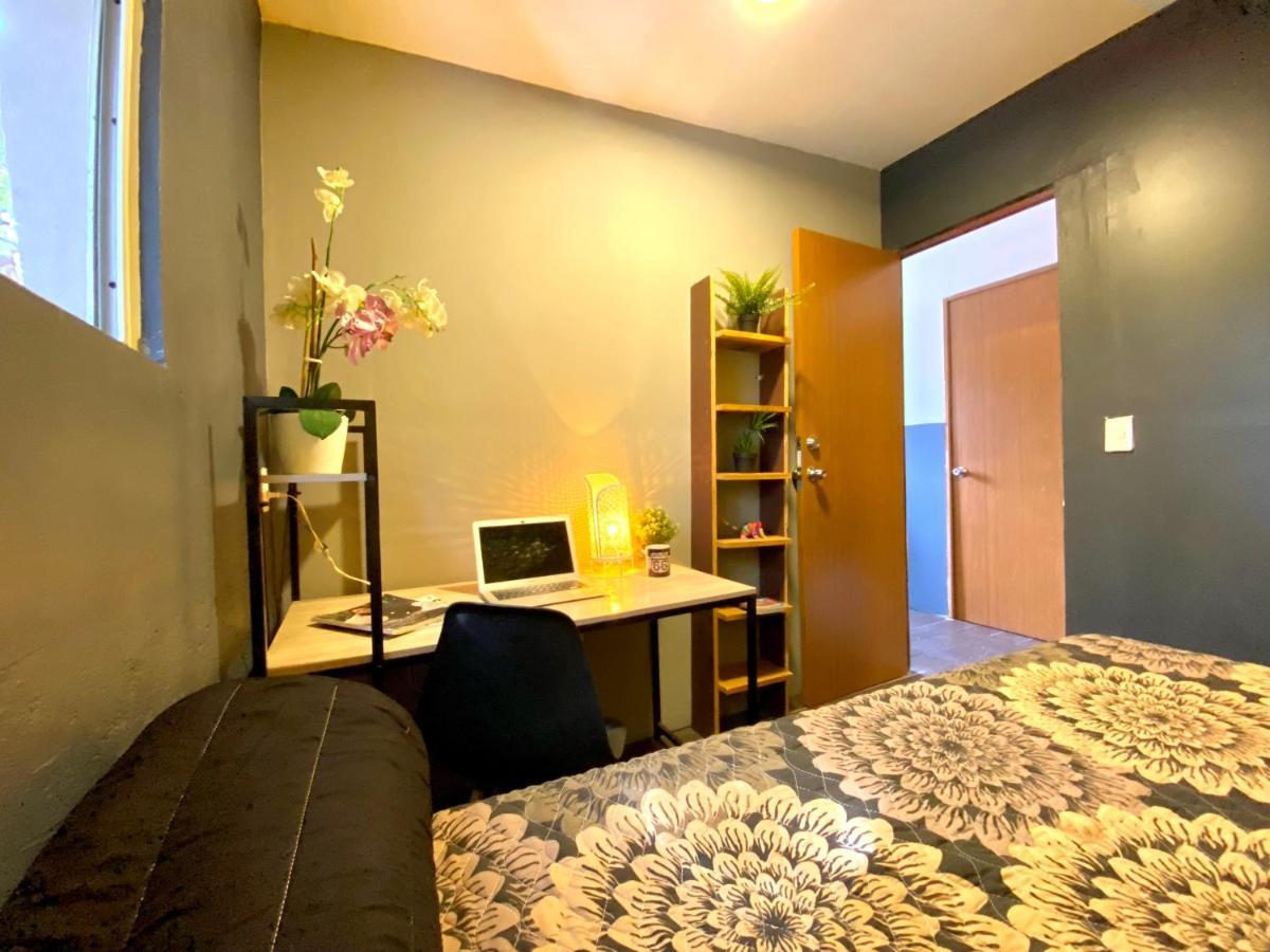 Roomies Hostel - Santa Maria La Ribera Mexico by Eksteriør bilde